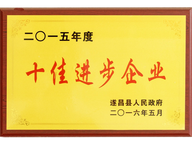 2015年度十佳進步企業